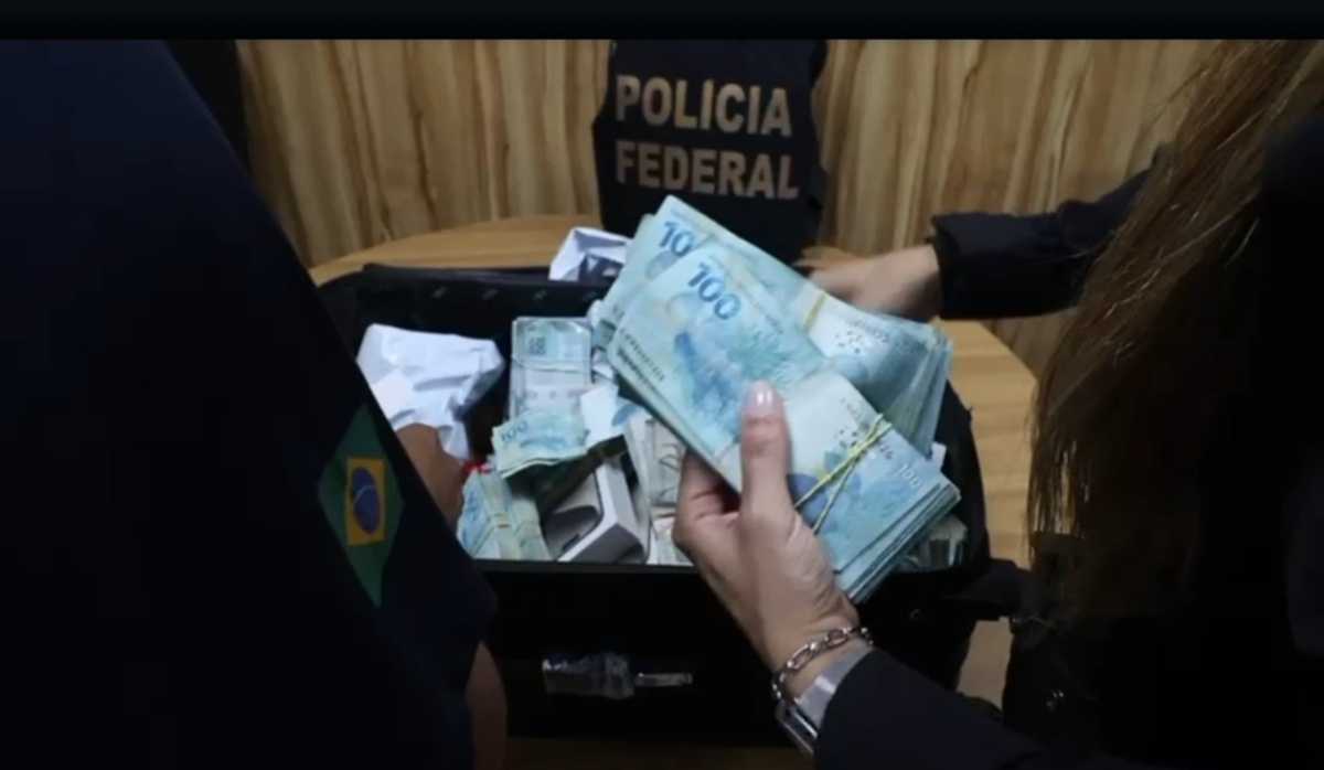 organização criminosa