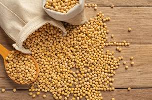 Os principais produtos exportados em março foram a soja e o milho. (Foto: Reprodução | jcomp | Freepik | Imagem ilustrativa)