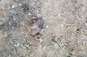 Pedra utilizada pelo suspeito para agredir a ex-companheira (Foto: Reprodução/Redes Sociais)