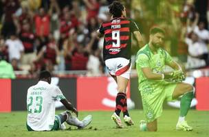 Pedro comemora gol contra o Juventude (Foto: Gilvan de Souza/Flamengo)