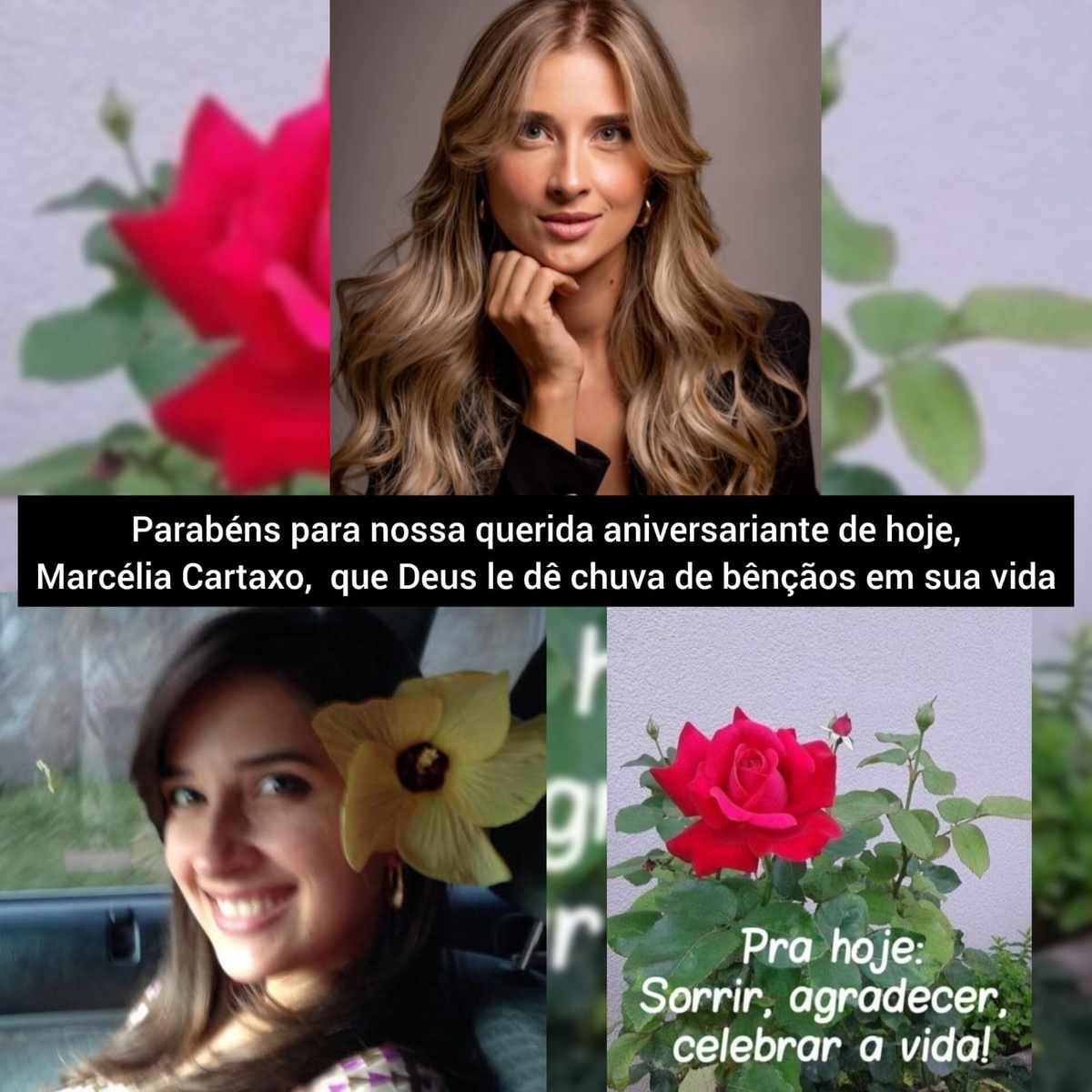 Pensamento do dia.