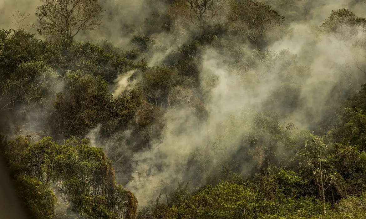 pode provocar nova extinção em massa, diz pesquisador