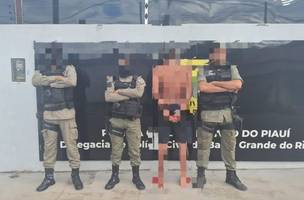 A prisão foi realizada em Baixa Grande do Ribeiro, no Piauí (Foto: Polícia Militar)
