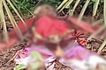 Corpo de homem desaparecido é encontrado em decomposição no Piauí