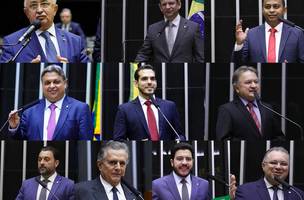 Deputados federais do Piauí (Foto: Reprodução)