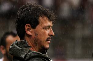 Fernando Diniz (Foto: Marcelo Goncalves / Fluminense)