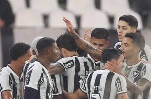 Jogadores comemoram vitória sobre o Internacional (Foto: Botafogo)