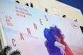 Cinema brasileiro se destaca no Mercado de Cannes e busca novos horizontes