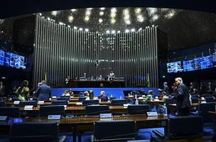 Plenário do Senado durante sessão (Foto: Andressa Anholete/Agência Senado)