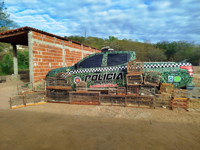 Polícia resgata animais silvestres mantidos cativeiro