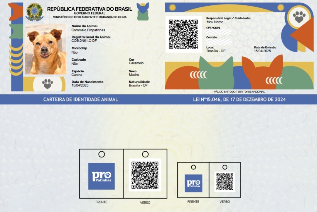 RG para pets está disponível a partir desta sexta-feira (23) em Teresina