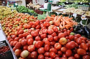 Tomate continua vilão da inflação de alimentos, mas ritmo de alta do preço começa a cair (Foto: Dirceu Portugal/Fotoarena/Agência O Globo)