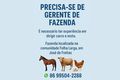 Fazenda em José de Freitas abre vaga para gerente