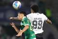 Palmeiras e Botafogo se enfrentam neste sábado com rivalidade intensa