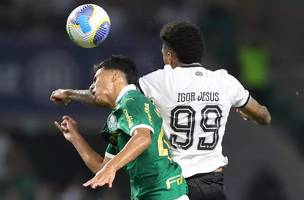Botafogo X Palmeiras (Foto: Esporte News)