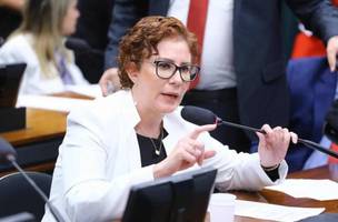 Carla Zambelli (Foto: Vinicius Loures/Câmara dos Deputados)