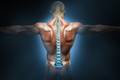 Anatomia da coluna: Desvendando o papel do disco intervertebral