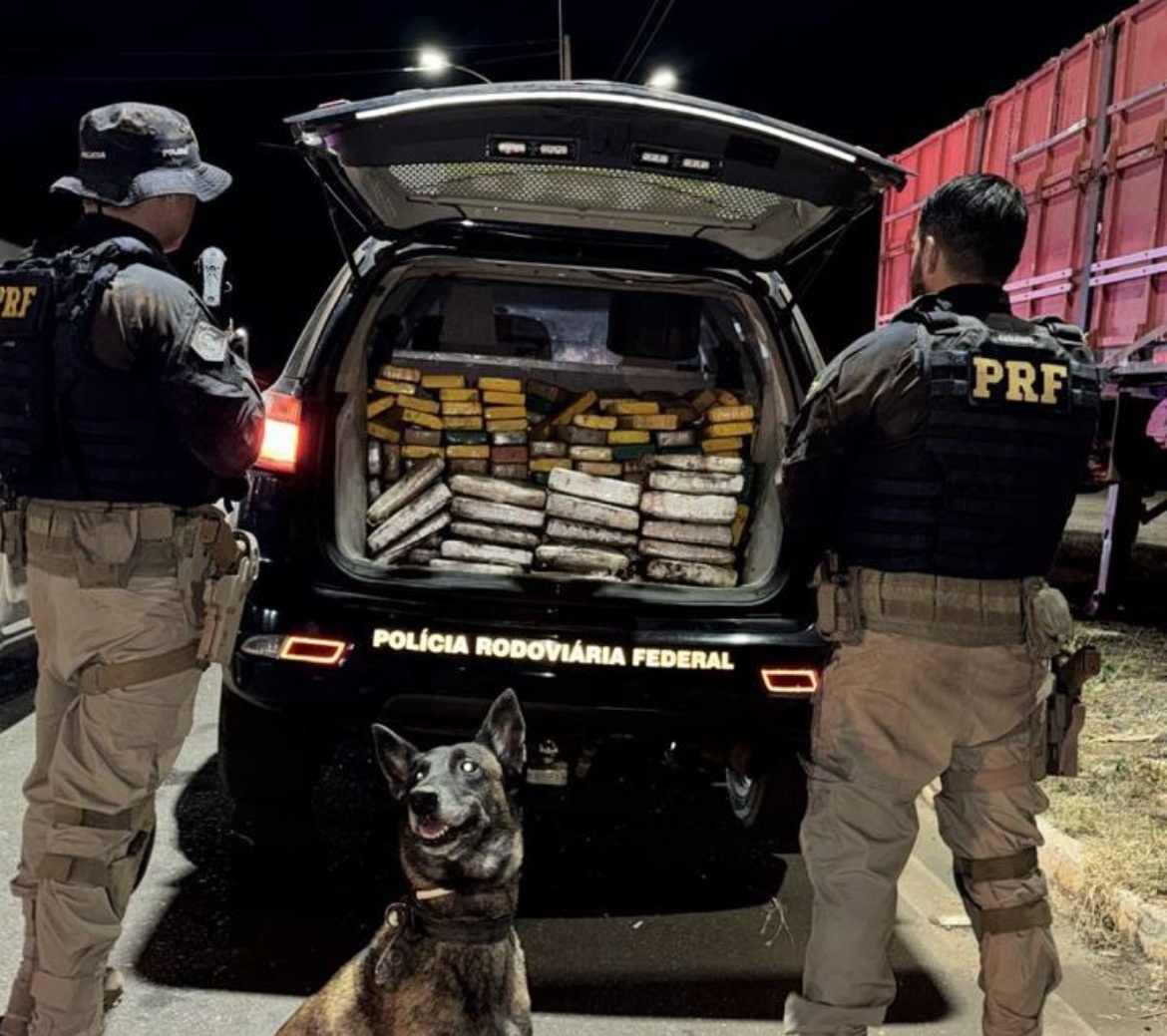 Droga foi encontrada com ajuda de cão da PMPI