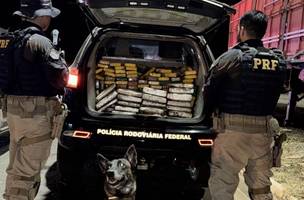 Droga foi encontrada com ajuda de cão da PMPI (Foto: PRF)