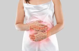 Inflamação intestinal (Foto: Reprodução)