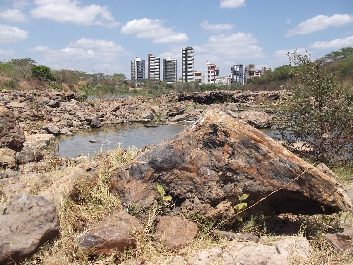 Parque Floresta Fóssil