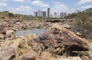 Parque Floresta Fóssil (Foto: Reprodução)