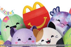 Pelúcia Mcdonalds (Foto: Reprodução)