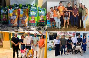 proteção e assistência aos animais abandonados ou em situação de vulnerabilidade (Foto: Reprodução/Governo do Piauí)