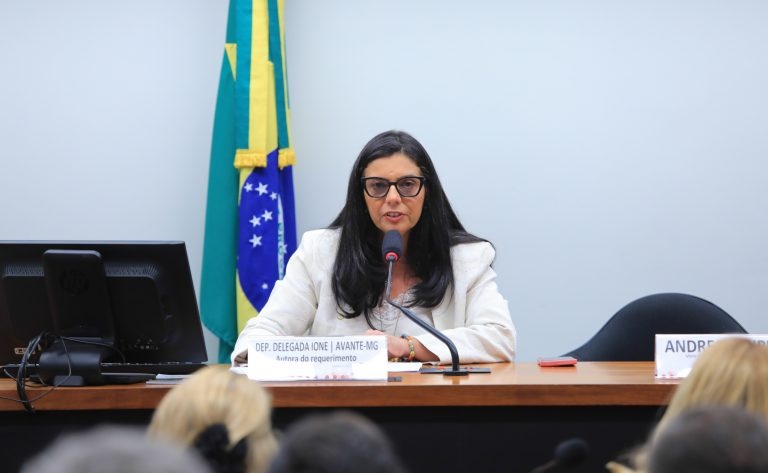 Deputada Delegada Ione, relatora