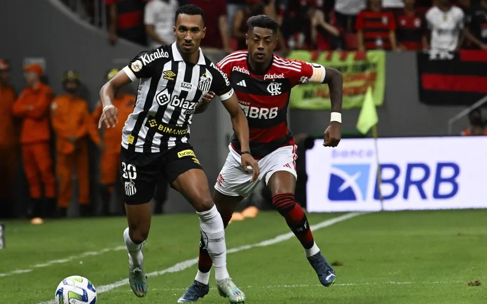Flamengo possui leve vantagem sobre o Santos em confrontos diretos no Brasileirão