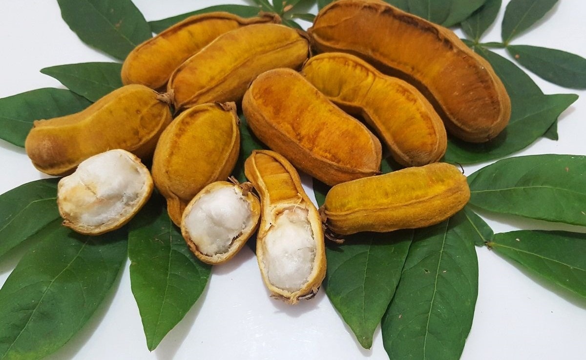 Ingá (emInga edulis)