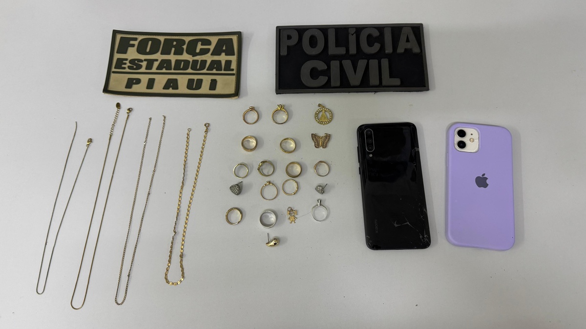 Material apreendido