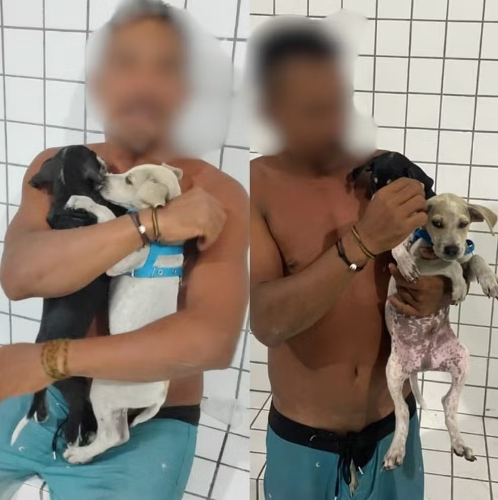 O suspeito foi conduzido à Central de Flagrantes após tentar afogar os dois cachorros