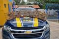 PRF resgata 35 aves silvestres transportadas ilegalmente em caminhão no Piauí