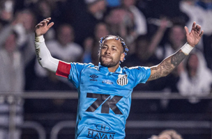Capa (Foto: Raul Baretta / Santos FC)