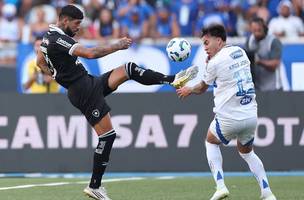 Cruzeiro x Botafogo pela 18ª rodada do Brasileirão (Foto: Vítor Silva/Botafogo)