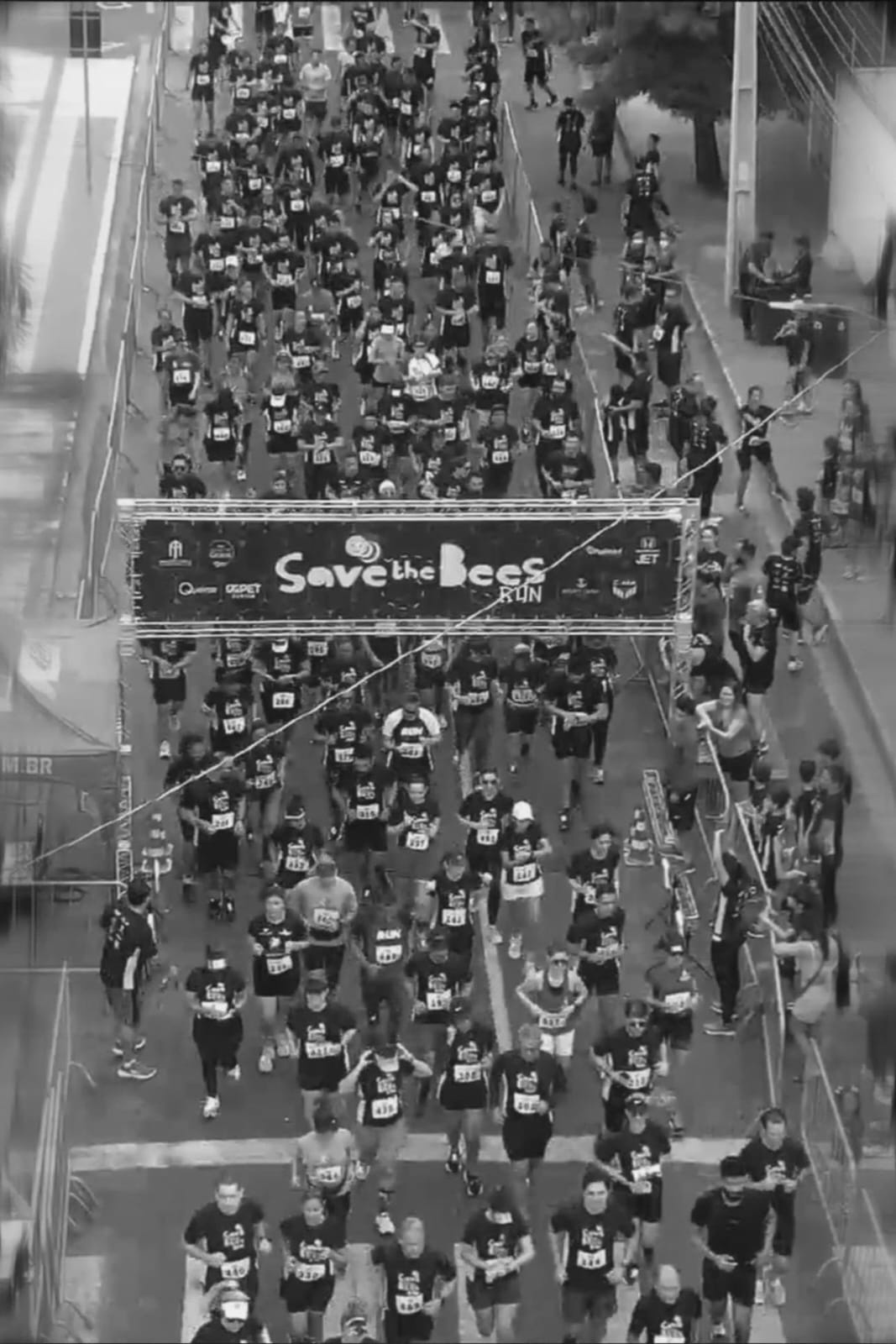 Save The Bees Run