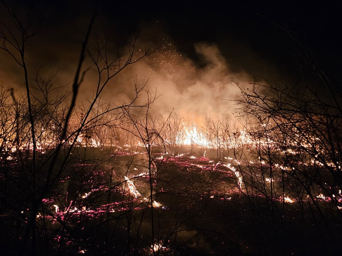 Incêndios em Pimenteiras