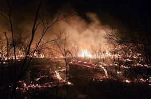 Incêndios em Pimenteiras (Foto: Ascom/Semarh)