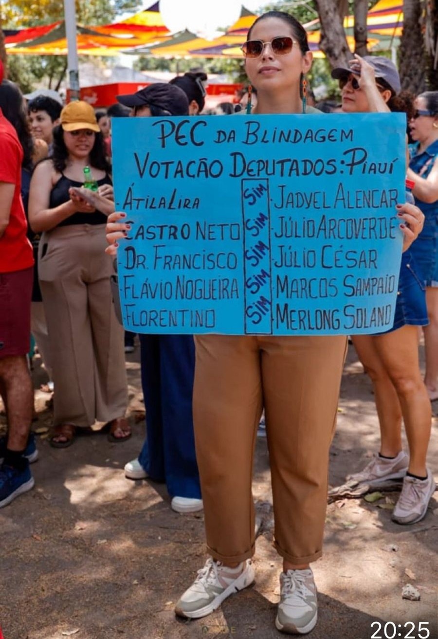 Os deputados federais (todos) do Piauí que votaram a favor da PEC da Blindagem/bandidagem. Nenhum tem menos que um processo ou condenação