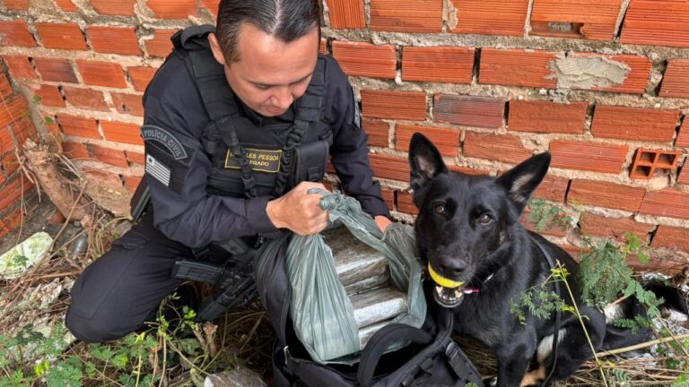 Operação integrada apreende 25 kg de drogas nas zonas Sul e Sudeste de Teresina