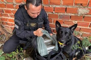 Operação integrada apreende 25 kg de drogas nas zonas Sul e Sudeste de Teresina (Foto: Reprodução/SSP-PI)