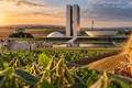 Frente agro elege 200 membros no Congresso