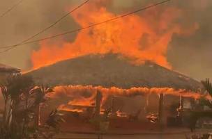 Chamas atingiram um quiosque e deixou animais mortos (Foto: Corpo de Bombeiros)