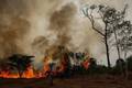 Incêndios colocam mais da metade das cidades do Amazonas em emergência
