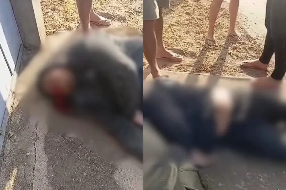 Motociclista morreu ainda no local