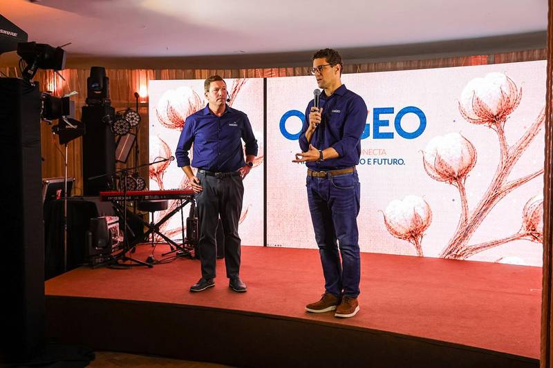 Algodão brasileiro amplia protagonismo e pode ganhar referência própria de preço