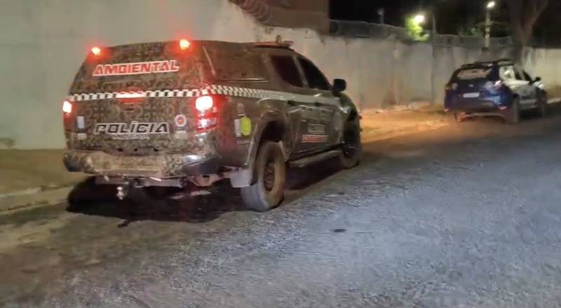 Conflito entre vizinhos termina com cães mortos a tiros em Nazária