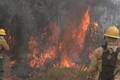Altamira decreta situação de emergência por incêndios florestais no Pará