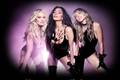 Pussycat Dolls se apresentam pela primeira vez no Brasil nesta sexta-feira